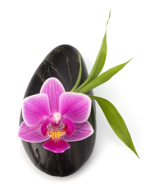 Spa e concetto di assistenza sanitaria. Orchidea e pietre . — Foto Stock