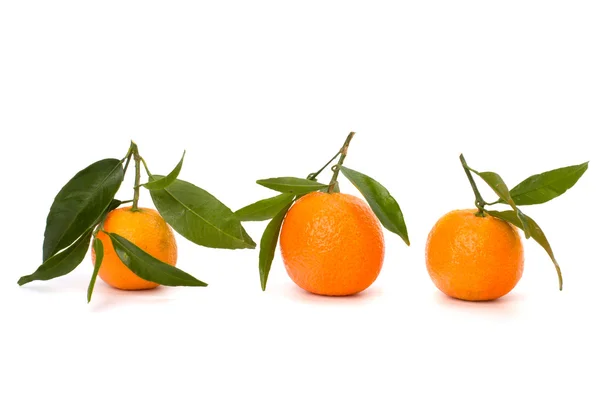 stock image Tangerines