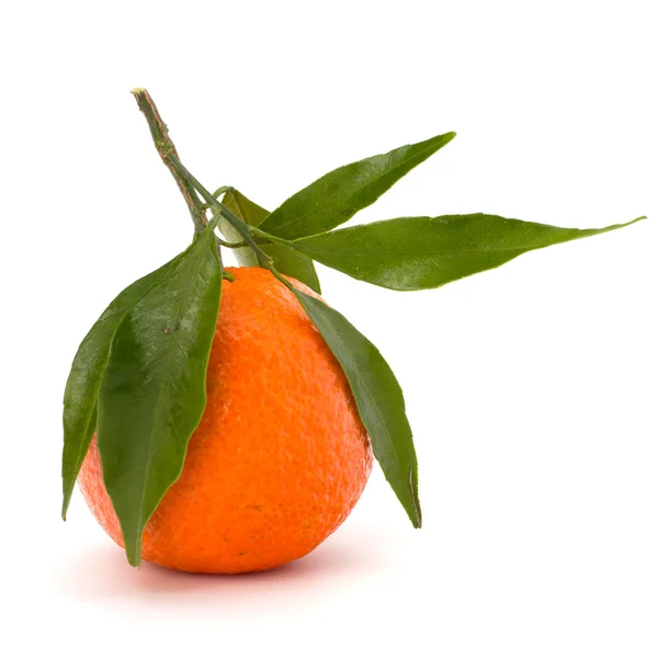 Mandarine mûre savoureuse — Photo