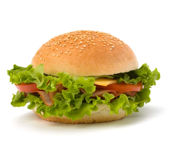 Junk Food Hamburger — Stockfoto