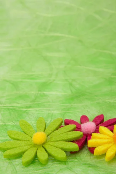 Spring background. Flowers on green sisal background. — Stock Photo, Image