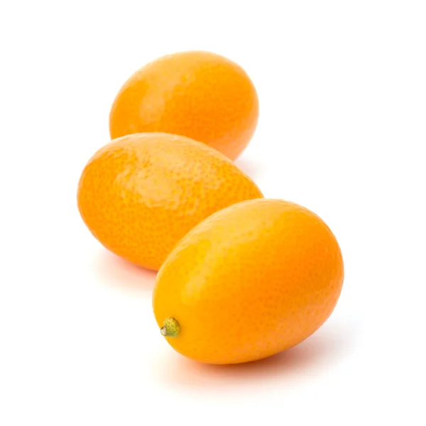 Cumquat 또는 금 귤 — 스톡 사진