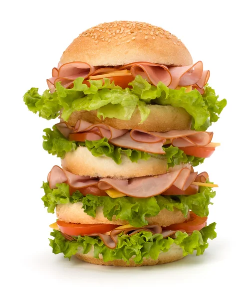 stock image Junk food hamburger