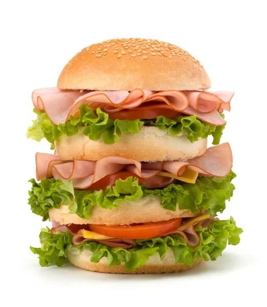 stock image Junk food hamburger