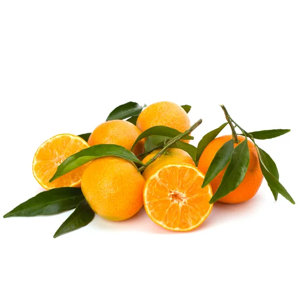 stock image Tangerines