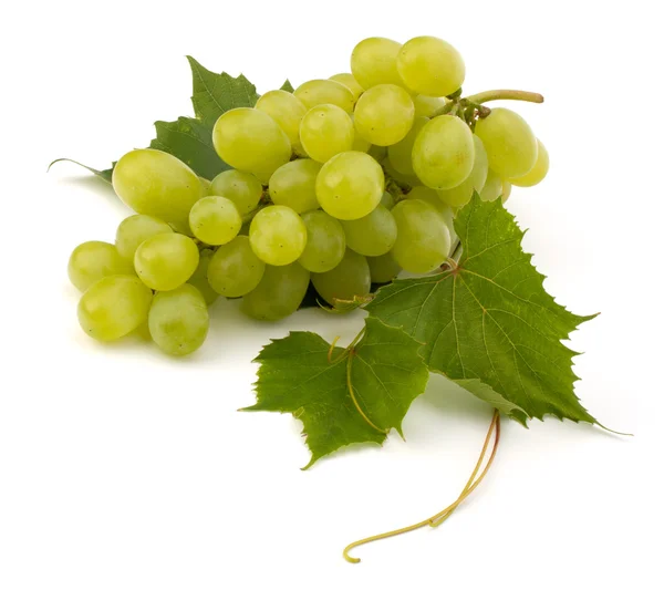 stock image Ripe grape whith leaf