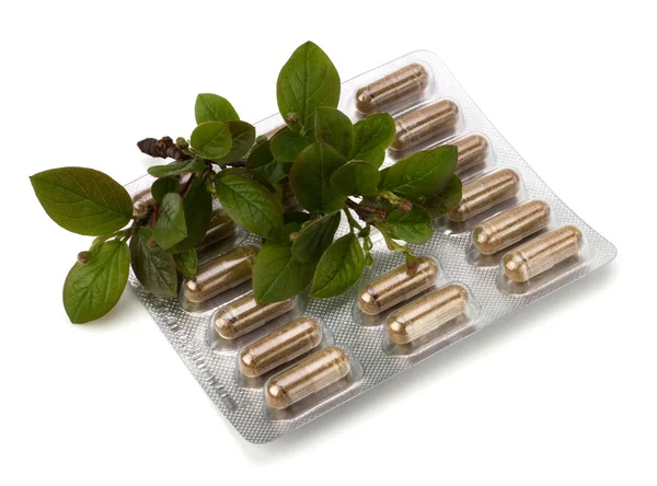 stock image Herbal medicine isolated on white background