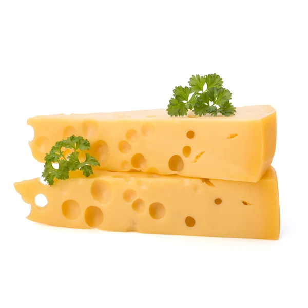 Кусок сыра для гурманов — стоковое фото