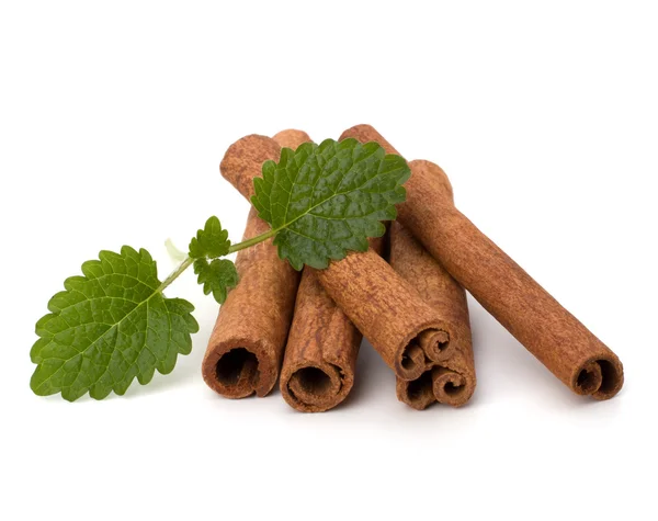 Stock image Cinnamon sticks