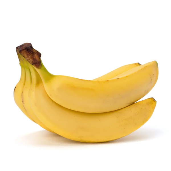 Bananeiras — Fotografia de Stock