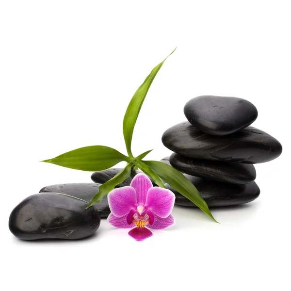 stock image Zen pebbles balance. Spa and healthcare concept.