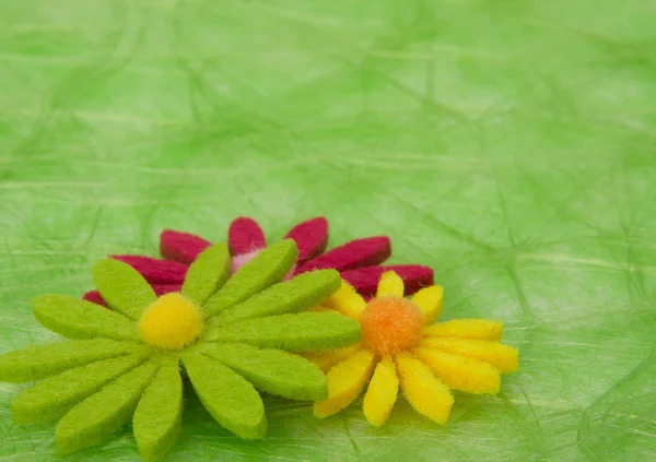 Весняний фон. Квіти на зеленому сизалевому фоні . — стокове фото