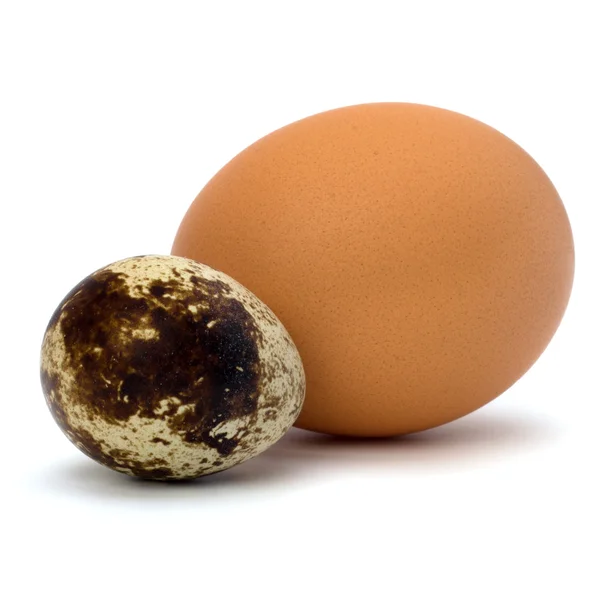 Codorniz y huevos de gallina — Foto de Stock