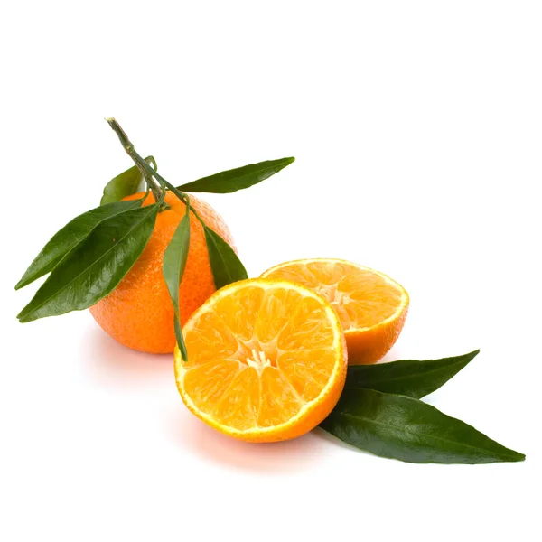 stock image Tangerines