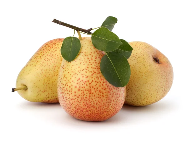 PEAR vruchten — Stockfoto