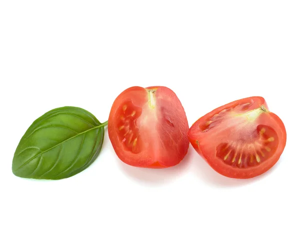 Folha de tomate e manjericão — Fotografia de Stock