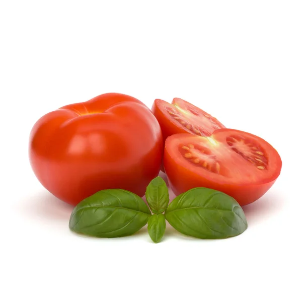 トマトとバジルの葉 — ストック写真