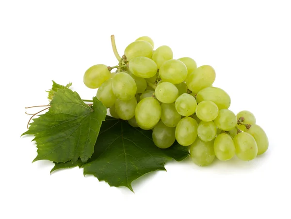 stock image Ripe grape whith leaf