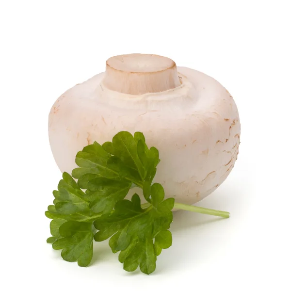 stock image Champignon mushroom and fresh parsley