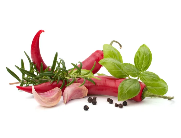 Chili pimienta y hierbas aromatizantes —  Fotos de Stock