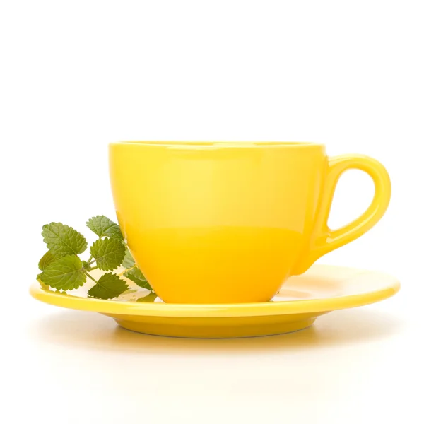 stock image Herbal peppermint tea cup