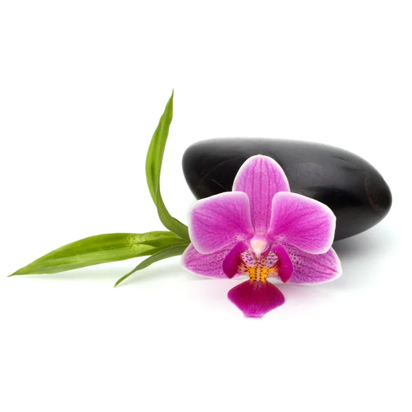 Spa and healthcare concept. Orchid and stones. — Stock Photo, Image