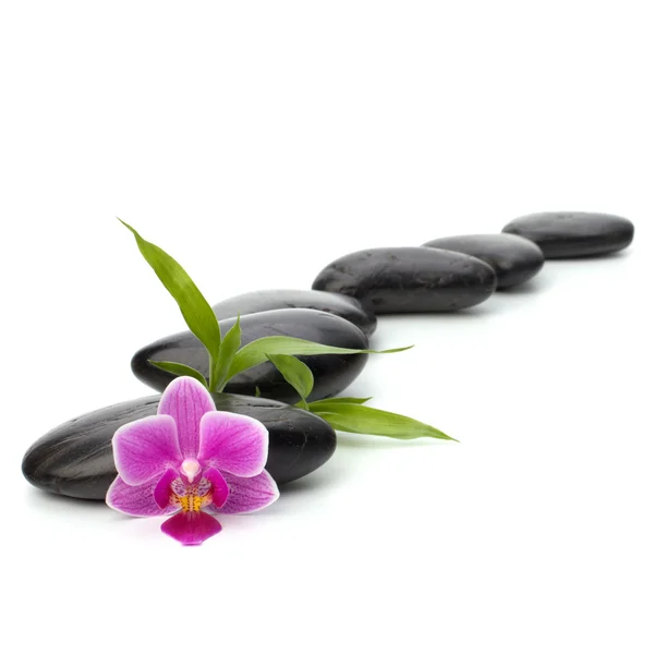 stock image Zen pebbles path. Spa and healthcare concept.