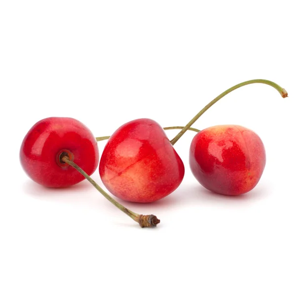 Cherry — Stok Foto