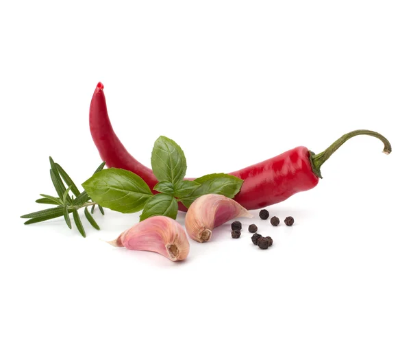 Chili pieprz i przyprawy — Zdjęcie stockowe