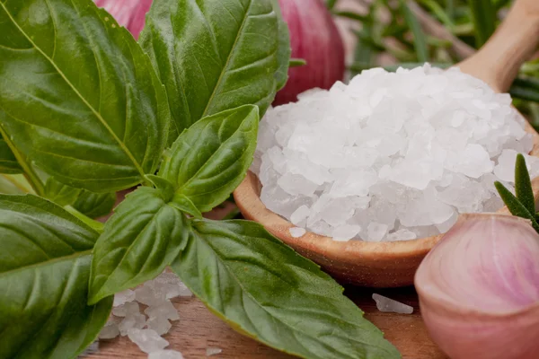 stock image Fresh herbs and salt spoon