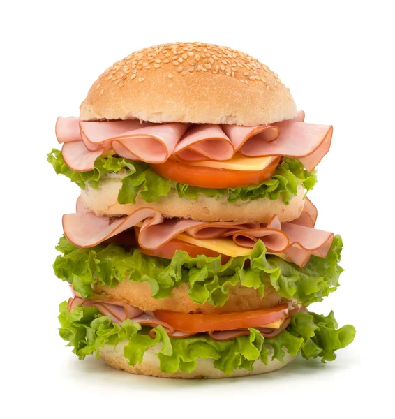 stock image Junk food hamburger