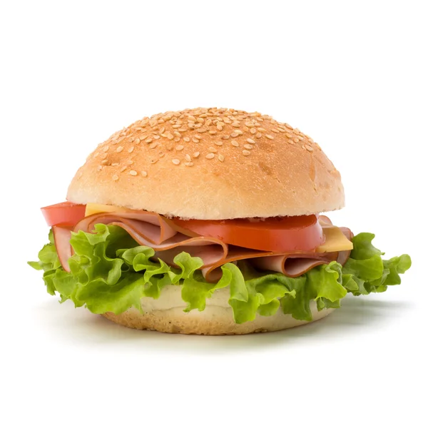 stock image Junk food hamburger