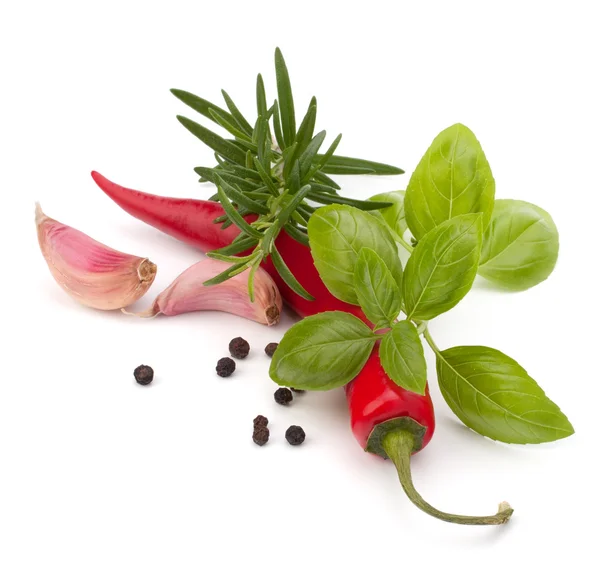 stock image Chili pepper and flavoring herbs