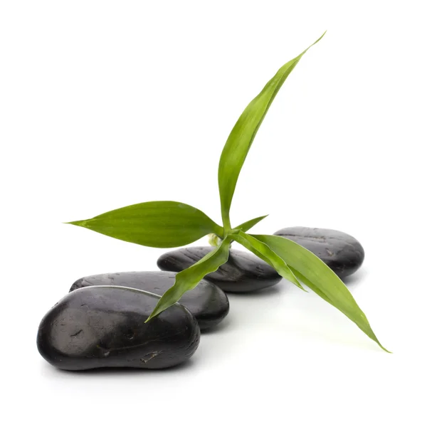 Zen kiezels pad. Spa en gezondheidszorg concept. — Stockfoto