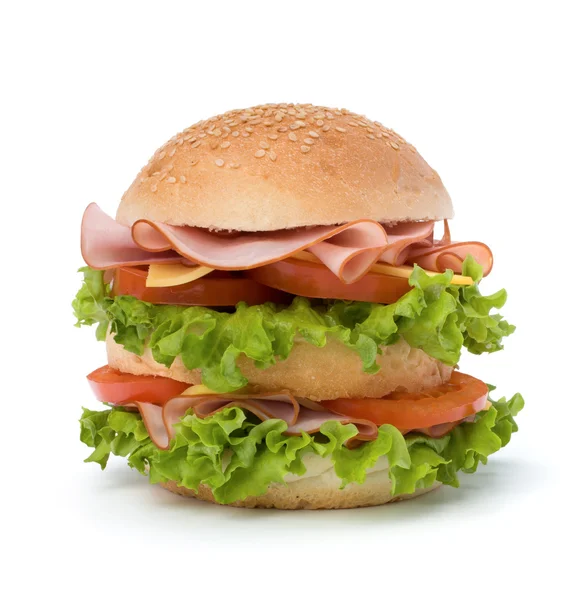 stock image Junk food hamburger