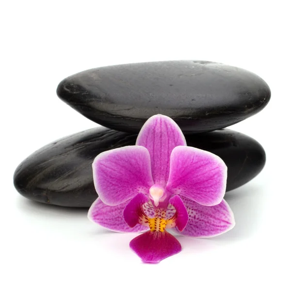 stock image Zen pebbles balance. Spa and healthcare concept.