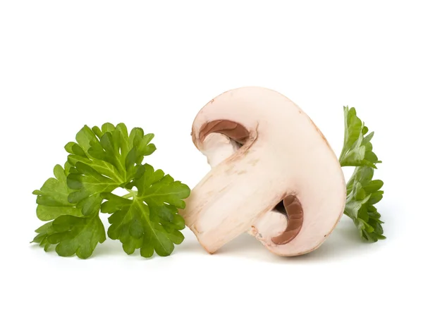 stock image Champignon mushroom and fresh parsley