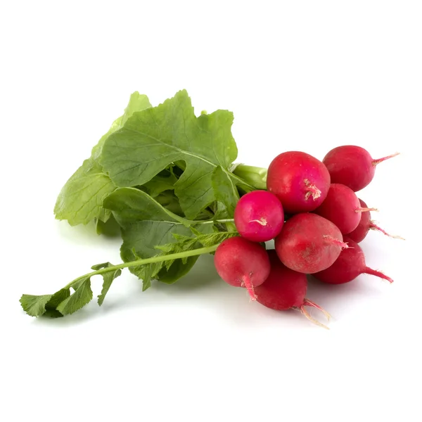 stock image Small garden radish