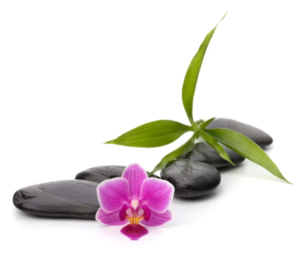 stock image Zen pebbles path. Spa and healthcare concept.