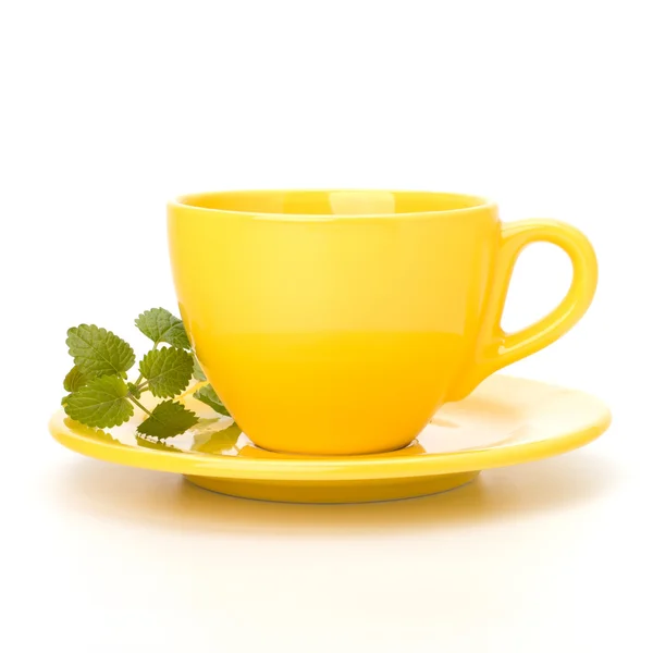 stock image Herbal peppermint tea cup