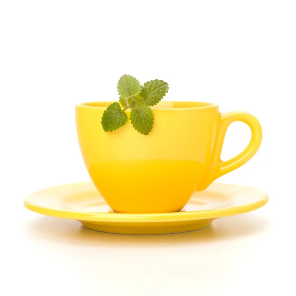 stock image Herbal peppermint tea cup