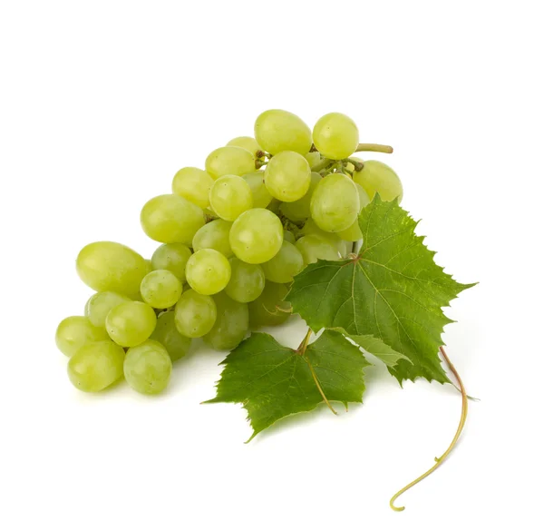 stock image Ripe grape whith leaf