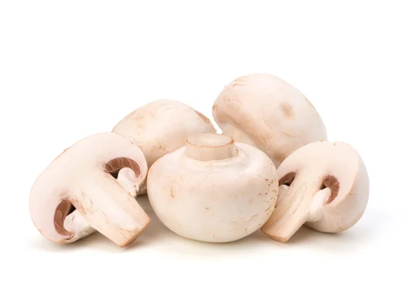 Cogumelo-de-champignon — Fotografia de Stock