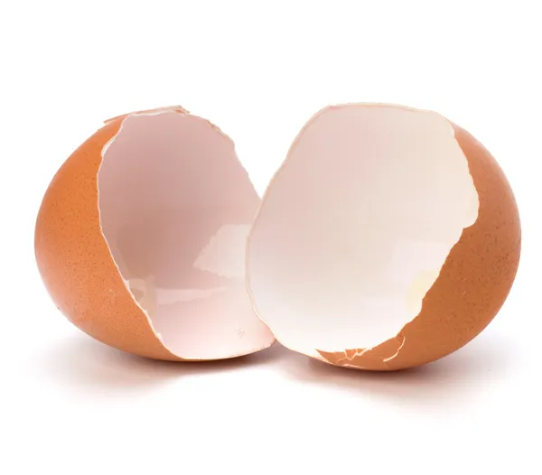 碎的蛋壳 — 图库照片