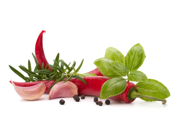 stock image Chili pepper and spice