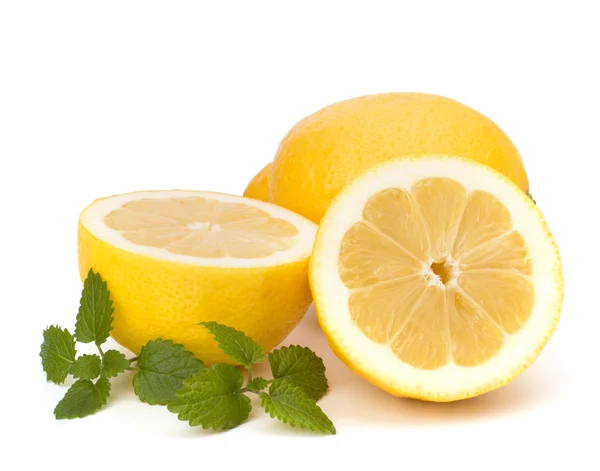 Hoja de limón y menta cítrica aislada sobre fondo blanco —  Fotos de Stock