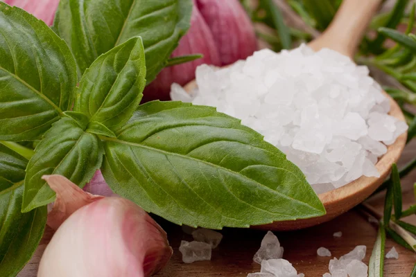 stock image Fresh herbs and salt spoon