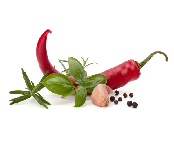 Chili paprika- és fűszernövények — Stock Fotó