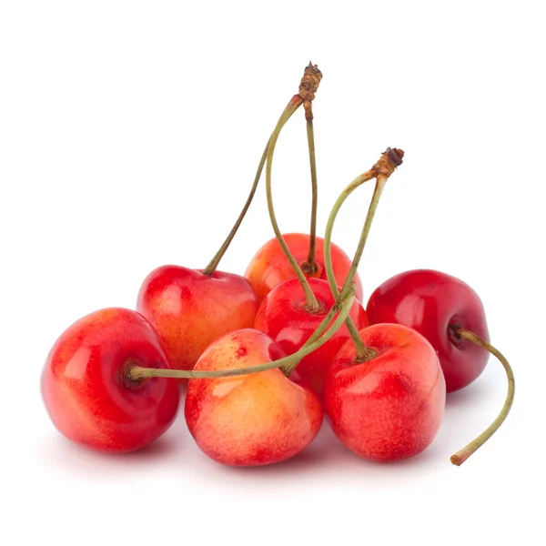 stock image Cherry