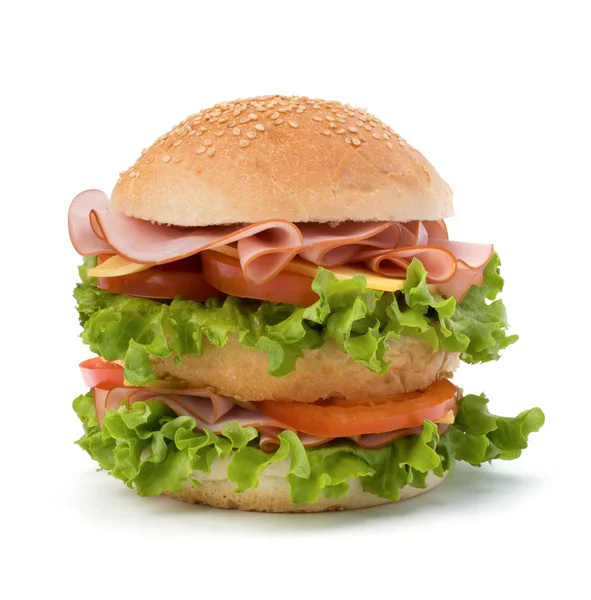 stock image Junk food hamburger